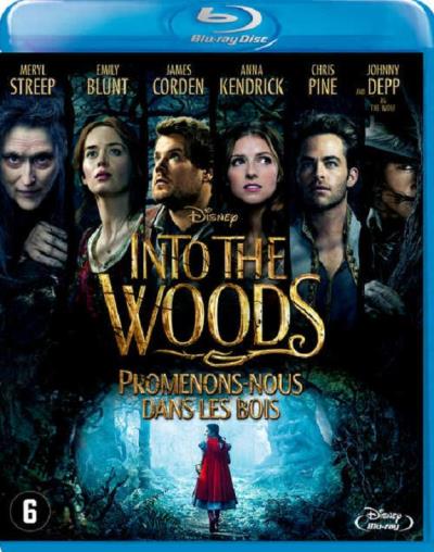 INTO THE WOODS-FR NL État correct reconditionné disponible sur Fnac | Dero