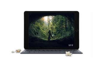 iPad APPLE IPAD 10,2 32GO GRIS SIDERAL WI-FI NOUVEAU (7EME GENERATION Bon état Apple reconditionné disponible sur Darty