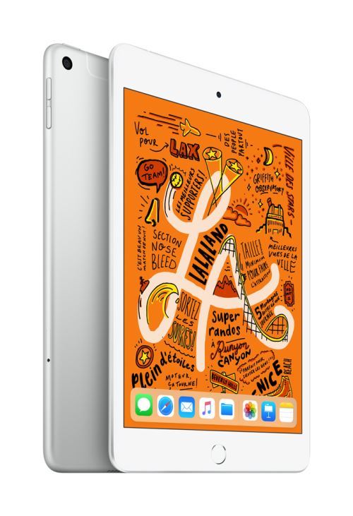 iPad Mini 256 Go WiFi + 4G Argent 7.9" 5 ème génération Début 2019 État correct Apple reconditionné disponible sur Fnac