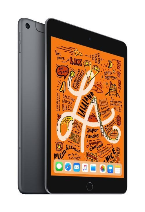 iPad Mini 256 Go WiFi + 4G Gris sidéral 7.9" 5 ème génération Début 2019 État correct Apple reconditionné disponible sur Fnac