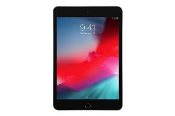 iPad mini 5 Wi-Fi + Cellular - 5ème génération - tablette - 64 Go - 7.9" IPS (2048 x 1536) - 3G, 4G - LTE - gris sidéral État correct Apple reconditionné disponible sur Darty