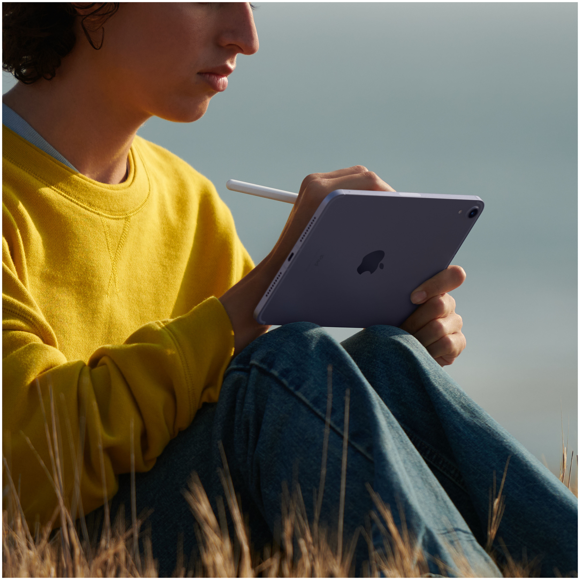 iPad Mini 6e génération 8,3  (2021), 256 Go - WiFi + Cellular 5G - Lumière stellaire - Excellent état Parfait état Apple reconditionné photo 3 | Dero