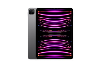 IPAD PRO 11 M2 128GO GRIS SIDERAL WI-FI CELLULAR FIN 2022 Bon état Apple reconditionné disponible sur Darty | Dero