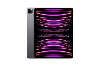 IPAD PRO 12,9 M2 128GO GRIS SIDERAL WI-FI CELLULAR FIN 2022 État correct Apple reconditionné disponible sur Darty