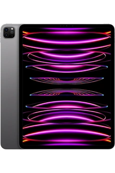 IPAD PRO 12,9 M2 128GO GRIS SIDERAL WI-FI FIN 2022 Bon état Apple reconditionné disponible sur Darty