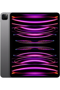 IPAD PRO 12,9 M2 256GO GRIS SIDERAL WI-FI FIN 2022 Très bon état Apple reconditionné disponible sur Darty | Dero