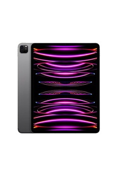 iPad Pro 12,9" Puce Apple M2 128 Go Gris Sideral Wifi Cellular Fin 2022 État correct Apple reconditionné disponible sur Darty | Dero