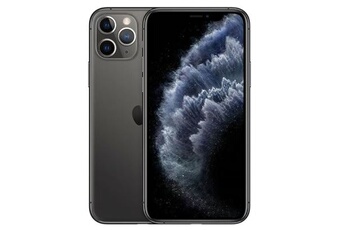 iPhone 11 Pro Max 6,5'' 256 Go gris sideral Reconditionné Nouvelle batterie Très bon état Apple reconditionné disponible sur Darty
