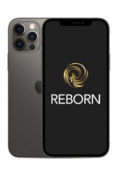 iPhone 12 Pro 128Go Graphite 5G Reconditionne Grade A Bon état N/A reconditionné disponible sur Darty