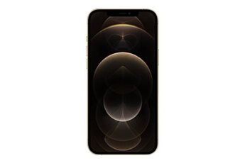 iPhone 12 Pro Max - 5G smartphone - double SIM / Mémoire interne 256 Go - écran OLED - 6.7" - 2778 x 1284 pixels - 3 x caméras arrière 12 MP, 12 MP, Très bon état Apple reconditionné disponible sur Darty