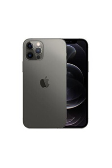 iPhone 12 Pro Max 6,7 128 Go Double SIM 5G Graphite - Reconditionné État correct Apple reconditionné disponible sur Darty