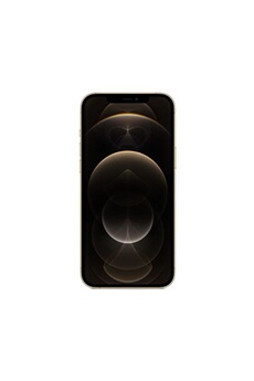 iPhone 12 Pro Max 6,7" 128 Go Double SIM 5G Or Très bon état - 317,00 € iPhone 12 Pro Max 6,7" 128 Go Double SIM 5G Or Très bon état Apple reconditionné disponible sur Darty | Dero