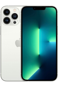 iPhone 13 Pro Max 256Go Argent 5G Bon état Apple reconditionné disponible sur Darty