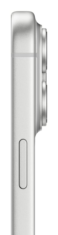 iPhone 17 Pro Max (5G) 1 To, Argent - Très bon état Très bon état Apple reconditionné photo 3 | Dero