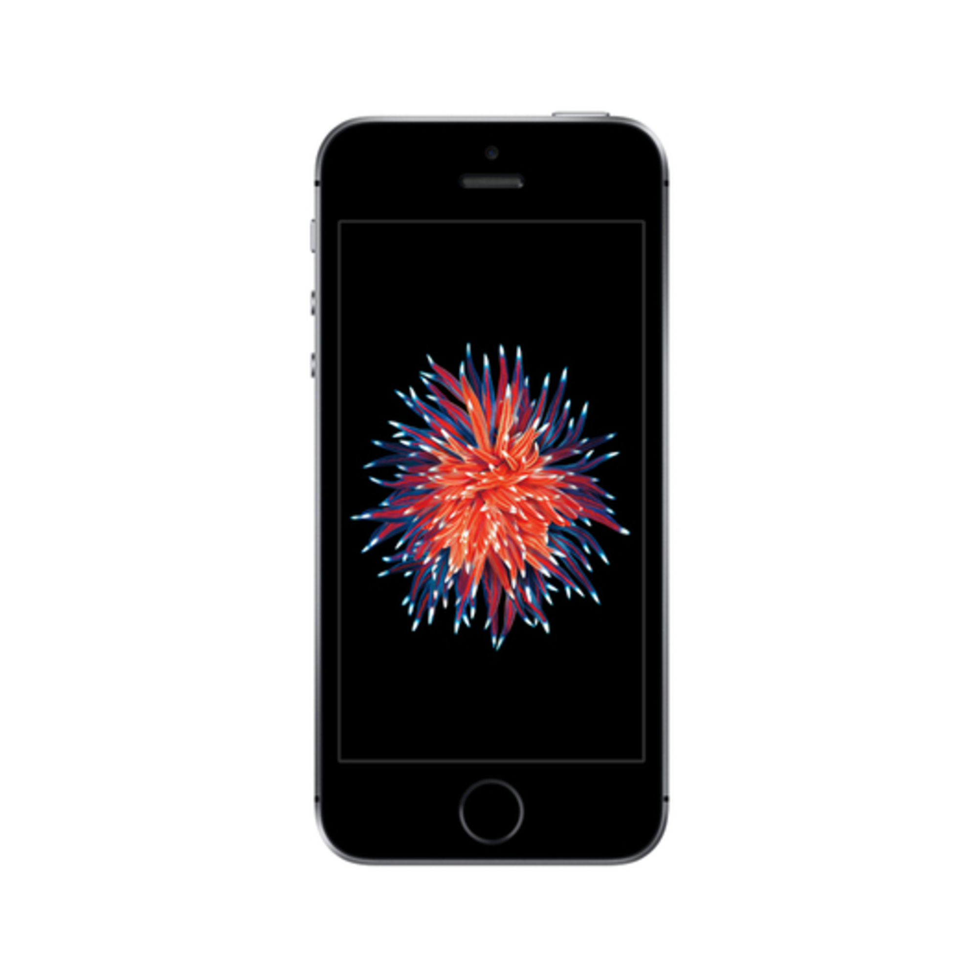 iPhone SE 32 Go, Gris sidéral, débloqué - Excellent état Parfait état Apple reconditionné disponible sur Pixmania | Dero