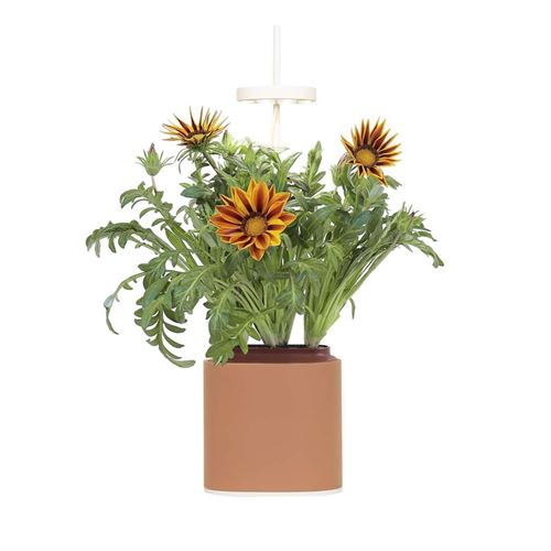 Jardin d'intérieur connecté Prêt à Pousser Nano Garden 2,5 W Terracota État correct Prêt à Pousser reconditionné disponible sur Fnac