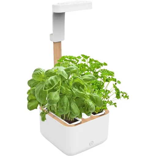 Jardin d'intérieur Essentielb Eve Bon état reconditionné disponible sur Rakuten