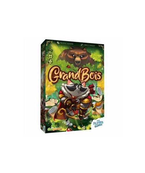 Jeu de société The flying Games Grand Bois État correct reconditionné disponible sur Fnac