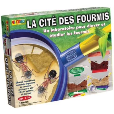 Jeu "la Cite Des Fourmis" État correct N/A reconditionné disponible sur Fnac