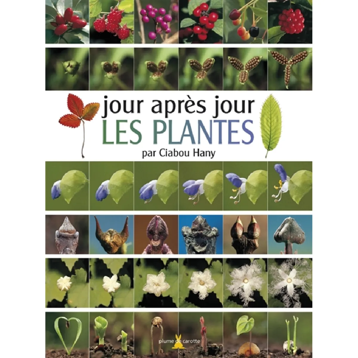Acheter Jour après jour les plantes État correct - 11,19 € Jour après jour les plantes État correct N/A (Il ne s'agit pas d'une marque reconditionné disponible sur Rue du Commerce Seconde Vie