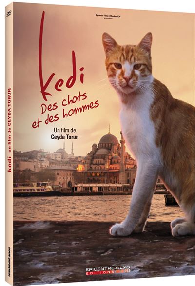 Kedi Des chats et des hommes DVD État correct reconditionné disponible sur Fnac | Dero