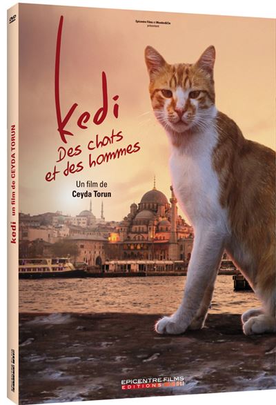 Acheter Kedi : Des chats et des hommes Edition Simple DVD État correct - 21,47 € Kedi : Des chats et des hommes Edition Simple DVD État correct reconditionné disponible sur Fnac