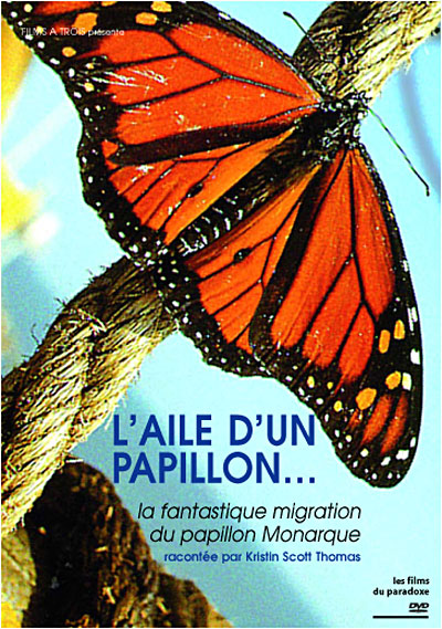 Acheter L'Aile d'un papillon... État correct - 19,00 € L'Aile d'un papillon... État correct reconditionné disponible sur Fnac