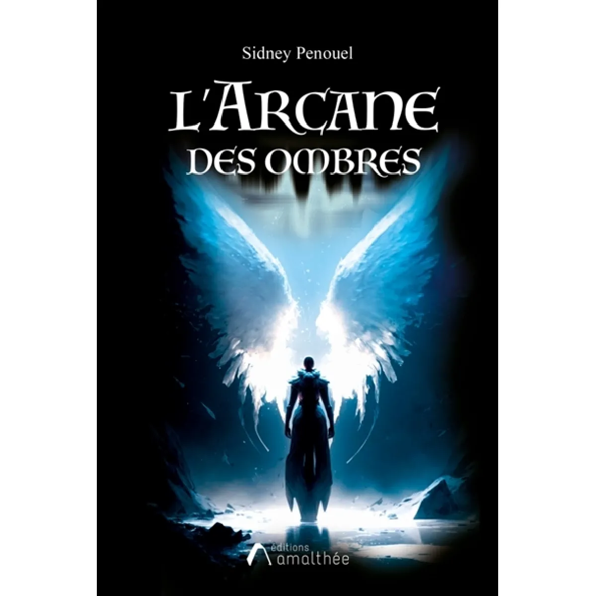 Acheter L'Arcane des Ombres État correct - 10,91 € L'Arcane des Ombres État correct N/A (Il ne s'agit pas d'une marque reconditionné disponible sur Rue du Commerce Seconde Vie