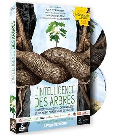 L'Intelligence des arbres DVD État correct reconditionné disponible sur Fnac