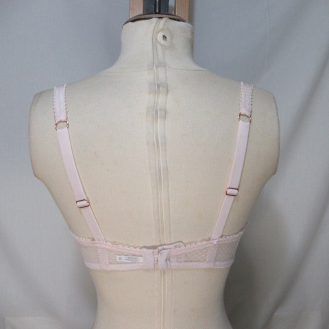 Voir photo 2 de L20 - Soutien-gorge brodé - RougeGorge - Taille 85D L20 - Soutien-gorge brodé - RougeGorge - Taille 85D Très bon état reconditionné photo 2