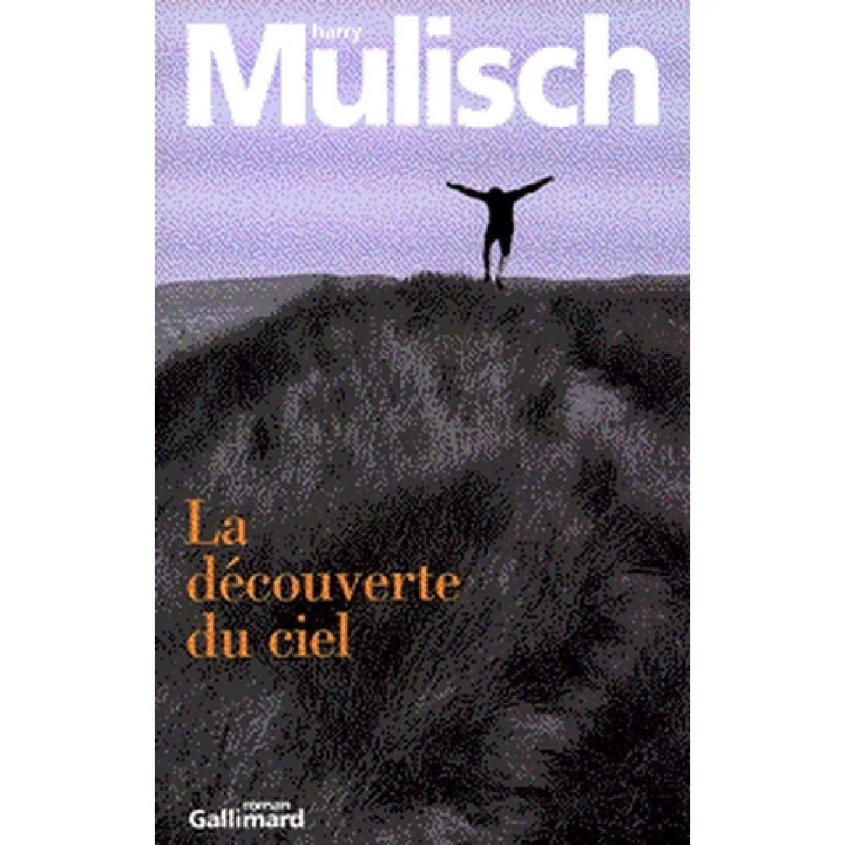 Acheter La découverte du ciel État correct - 25,00 € La découverte du ciel État correct N/A (Il ne s'agit pas d'une marque reconditionné disponible sur Rue du Commerce Seconde Vie