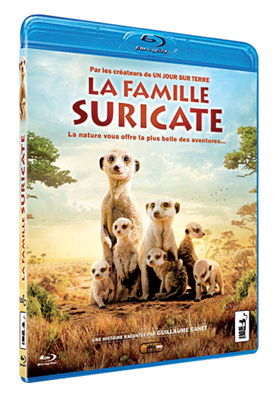 La Famille Suricate - Blu-Ray État correct - 14,70 € La Famille Suricate - Blu-Ray État correct reconditionné disponible sur Fnac