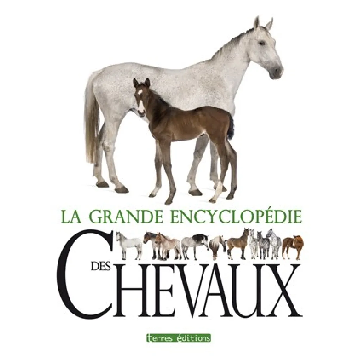 Acheter La grande encyclopédie des chevaux : soins, comportement, santé, races État correct - 10,41 € La grande encyclopédie des chevaux : soins, comportement, santé, races État correct N/A (Il ne s'agit pas d'une marque reconditionné disponible sur Rue du Commerce Seconde Vie