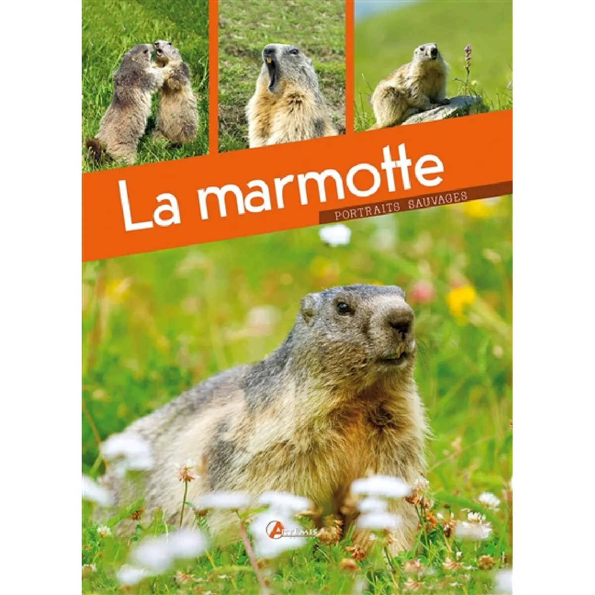 Acheter La marmotte État correct - 11,00 € La marmotte État correct N/A (Il ne s'agit pas d'une marque reconditionné disponible sur Rue du Commerce Seconde Vie
