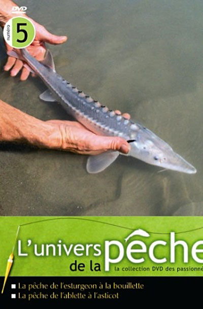 La Pêche de l'Ablette à l'asticot État correct reconditionné disponible sur Fnac