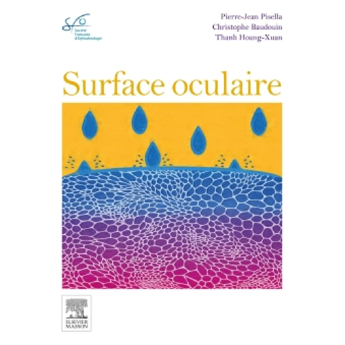 La surface oculaire : rapport SFO 2015 État correct - 106,43 € La surface oculaire : rapport SFO 2015 État correct N/A (Il ne s'agit pas d'une marque reconditionné disponible sur Rue du Commerce Seconde Vie