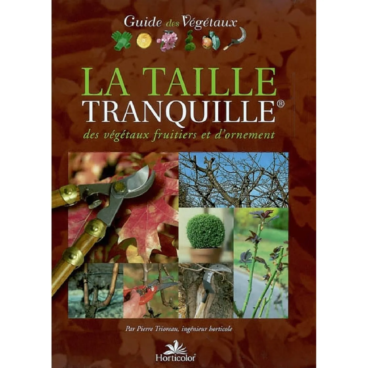 Acheter La taille tranquille des végétaux fruitiers et d'ornement État correct - 12,00 € La taille tranquille des végétaux fruitiers et d'ornement État correct N/A (Il ne s'agit pas d'une marque reconditionné disponible sur Rue du Commerce Seconde Vie