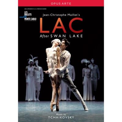 Lac État correct reconditionné disponible sur Fnac