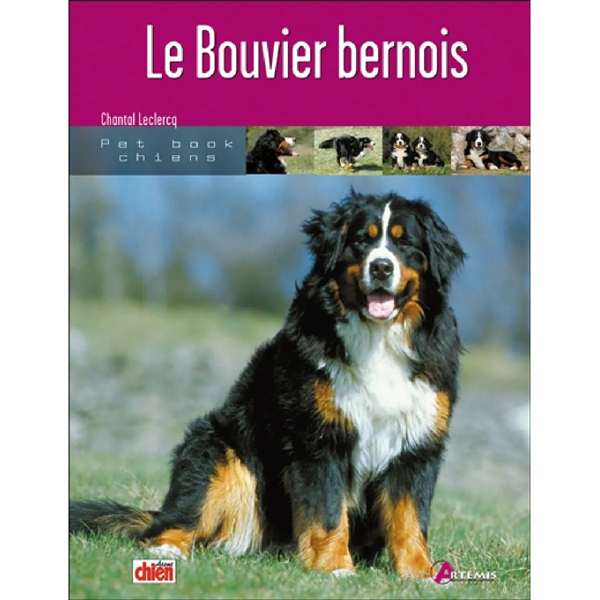 Le bouvier bernois État correct - 19,00 € Le bouvier bernois État correct N/A (Il ne s'agit pas d'une marque reconditionné disponible sur Rue du Commerce Seconde Vie