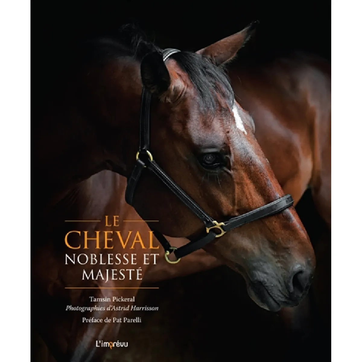 Acheter Le cheval, noblesse et majesté État correct - 17,06 € Le cheval, noblesse et majesté État correct N/A (Il ne s'agit pas d'une marque reconditionné disponible sur Rue du Commerce Seconde Vie