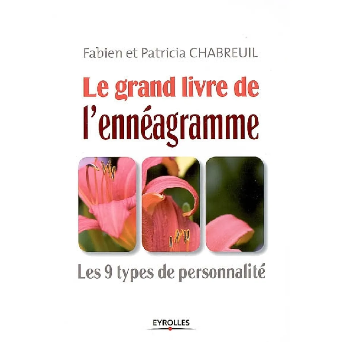 Acheter Le grand livre de l'ennéagramme : les 9 types de personnalité État correct - 14,99 € Le grand livre de l'ennéagramme : les 9 types de personnalité État correct N/A (Il ne s'agit pas d'une marque reconditionné disponible sur Rue du Commerce Seconde Vie