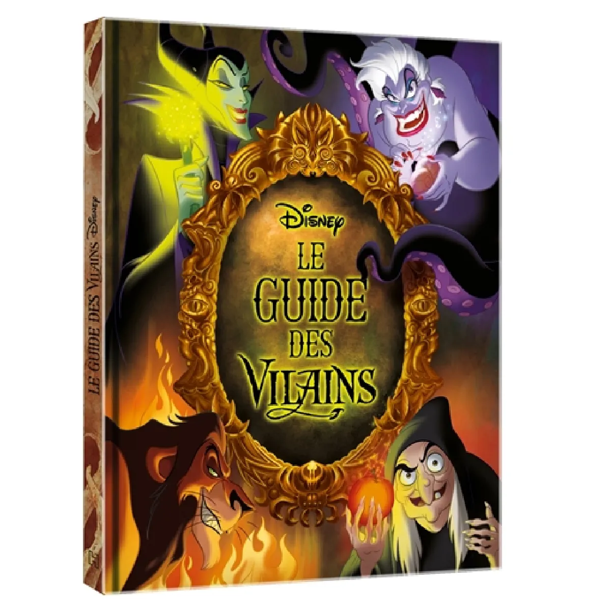 Acheter Le guide des vilains État correct - 10,16 € Le guide des vilains État correct N/A (Il ne s'agit pas d'une marque reconditionné disponible sur Rue du Commerce Seconde Vie