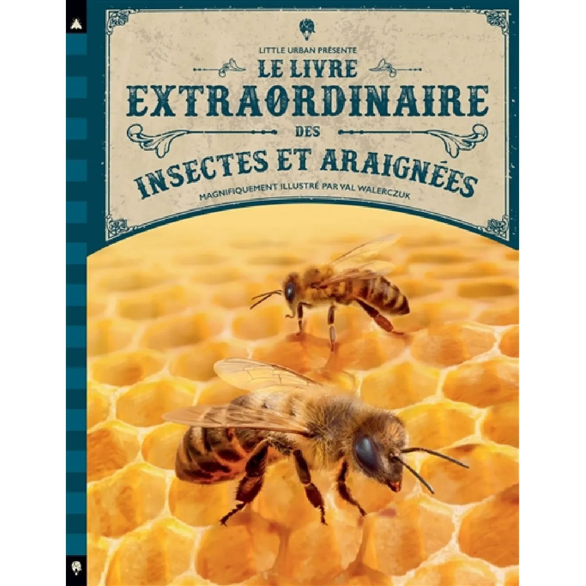 Acheter Le livre extraordinaire des insectes et araignées État correct - 17,10 € Le livre extraordinaire des insectes et araignées État correct N/A (Il ne s'agit pas d'une marque reconditionné disponible sur Rue du Commerce Seconde Vie