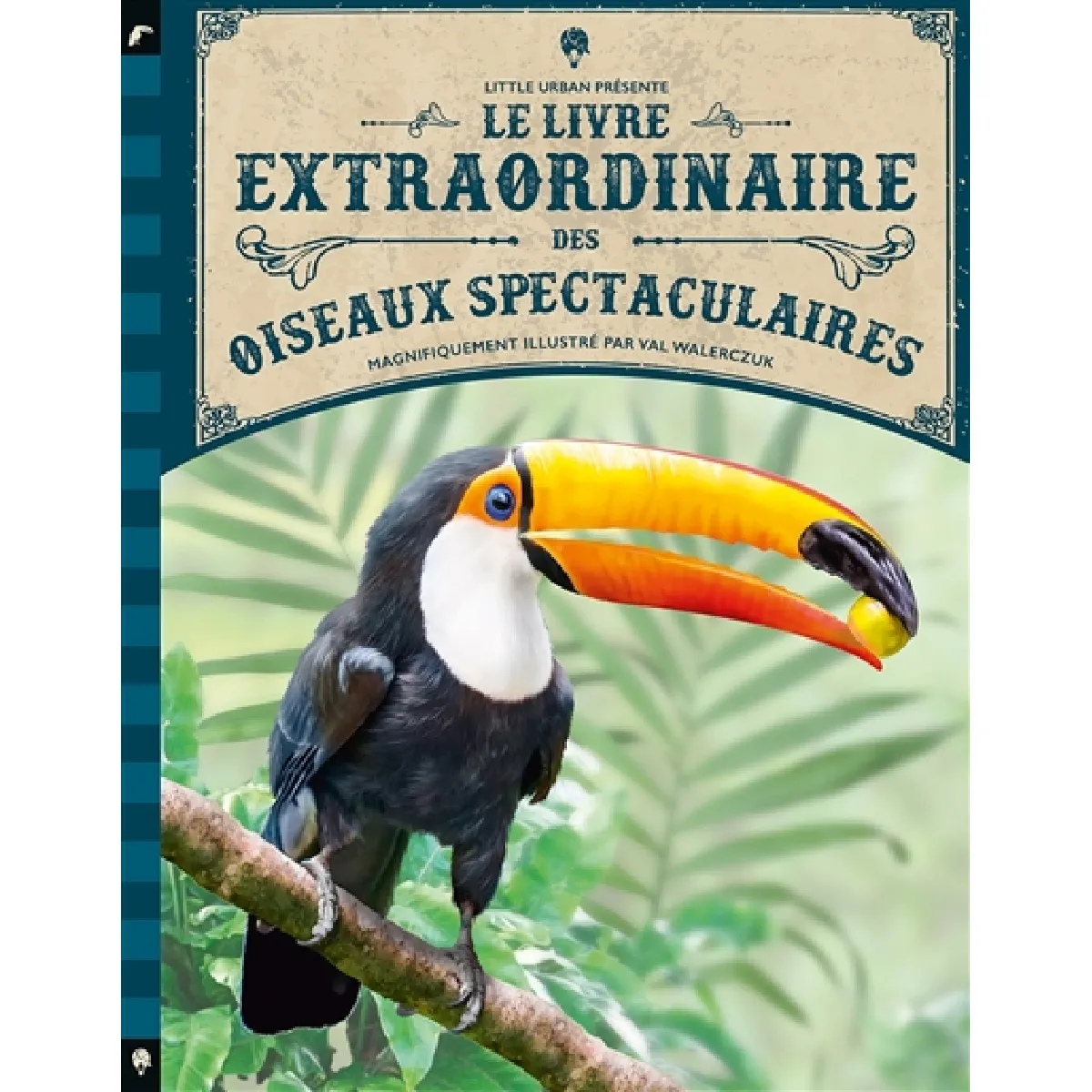 Acheter Le livre extraordinaire des oiseaux spectaculaires État correct - 19,22 € Le livre extraordinaire des oiseaux spectaculaires État correct N/A (Il ne s'agit pas d'une marque reconditionné disponible sur Rue du Commerce Seconde Vie