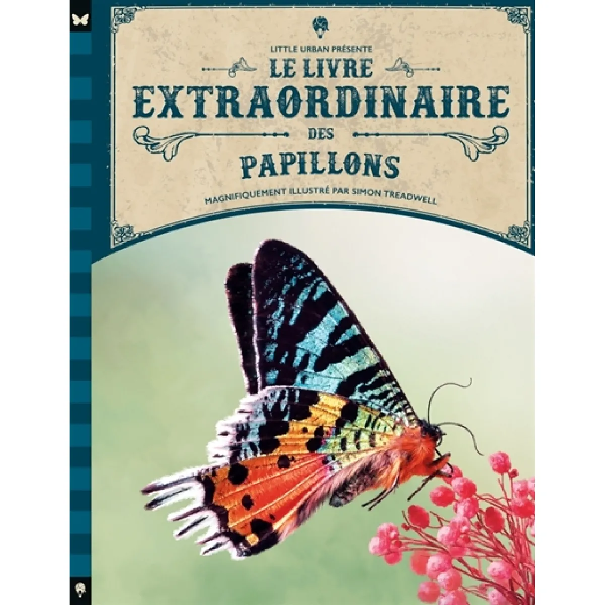 Acheter Le livre extraordinaire des papillons État correct - 18,93 € Le livre extraordinaire des papillons État correct N/A (Il ne s'agit pas d'une marque reconditionné disponible sur Rue du Commerce Seconde Vie