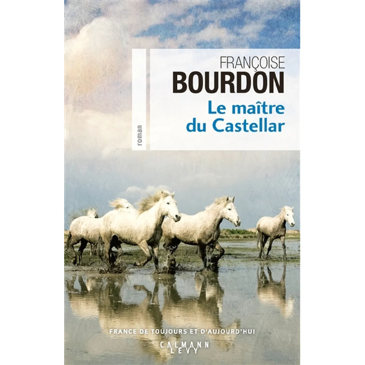 Le maître du Castellar État correct - 10,00 € Le maître du Castellar État correct N/A (Il ne s'agit pas d'une marque reconditionné disponible sur Rue du Commerce Seconde Vie