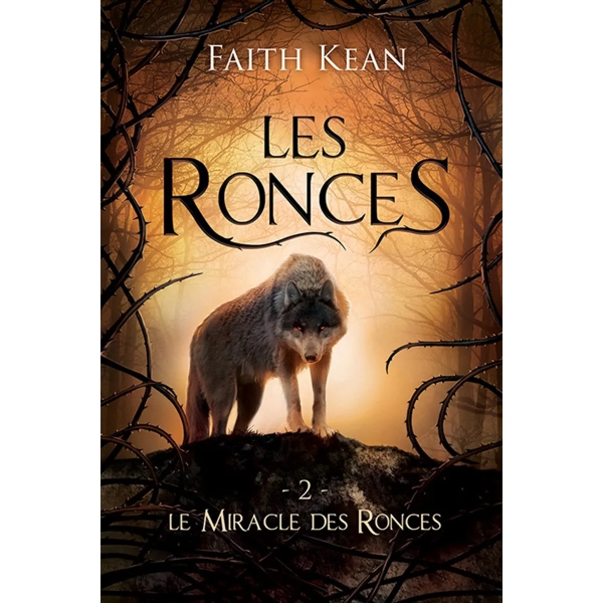 Le Miracle des Ronces : Les Ronces 2 État correct - 12,31 € Le Miracle des Ronces : Les Ronces 2 État correct N/A (Il ne s'agit pas d'une marque reconditionné disponible sur Rue du Commerce Seconde Vie