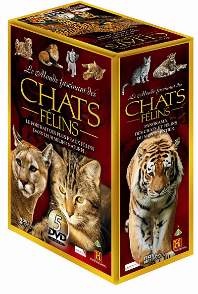 Le Monde fascinant des chats - Coffret 5 DVD État correct reconditionné disponible sur Fnac