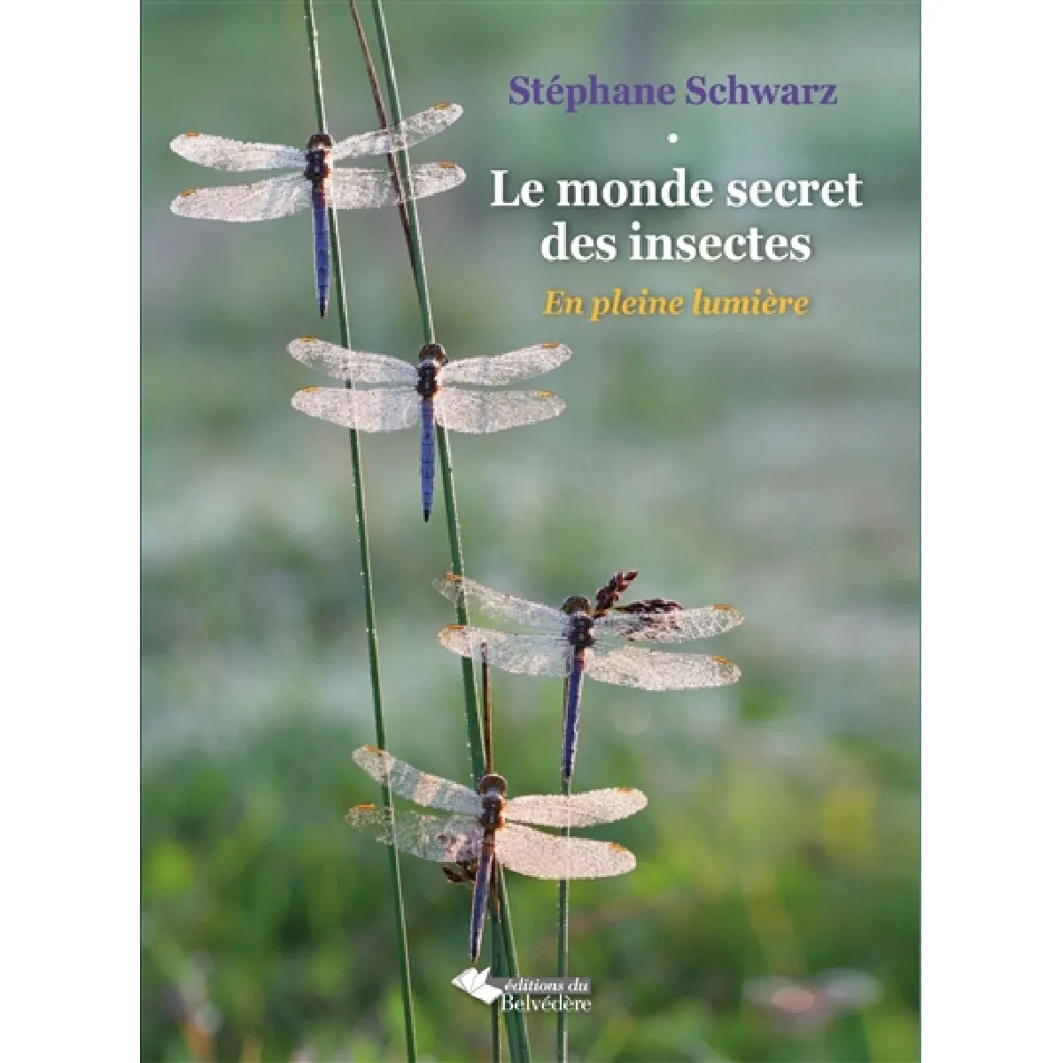 Acheter Le monde secret des insectes : en pleine lumière État correct - 11,19 € Le monde secret des insectes : en pleine lumière État correct N/A (Il ne s'agit pas d'une marque reconditionné disponible sur Rue du Commerce Seconde Vie