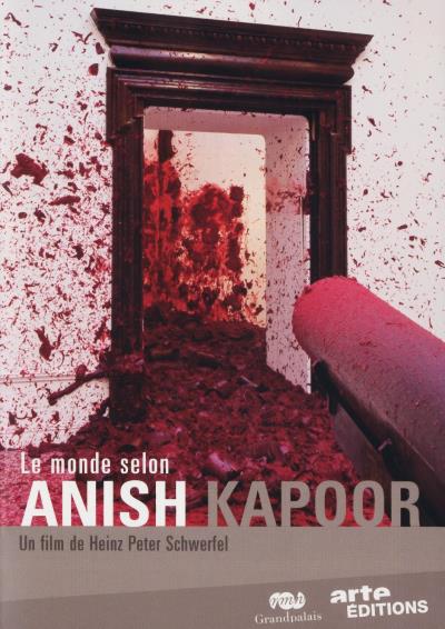 Le Monde selon Anish Kapoor DVD État correct reconditionné disponible sur Fnac | Dero